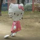 준푸드 네이버블로그
