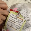 송파구 맛집 - 데브짱 배달 내돈내산