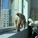 규완 | 취준생인 척하는 백수의 한 달