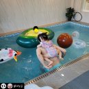 북면326 | 가평군 감성펜션 TOP 10과 애견운동장 비교 후기 많은 곳