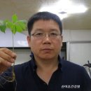 산야초건강원 이미지