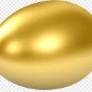 황금오리알 이미지