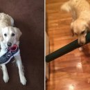 집안살림 이미지