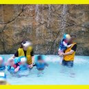 하단어린이집 이미지