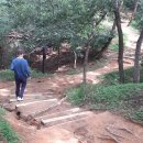 밤실지 이미지