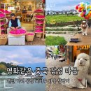 중국 윈난 다리 꿈 속 같은 마을 여행 | 솽랑·씨저우