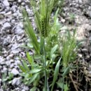 푸른소아청소년과의원 이미지