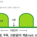 두둑 이미지