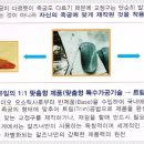 바이오오소틱 이미지