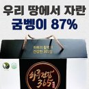 주식회사 에코바이오 이미지