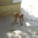 시티팰리스 이미지