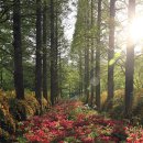 동막공원 이미지