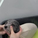 무브멍트 이미지