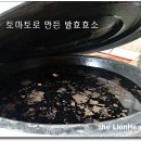 다해농장 Daum카페