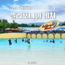 치킨베네 | 경주 캘리포니아비치 비 오는 날 워터파크 ㅣ 준비물 및 모든 어트랙션 탑승 후기