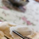 그라비올라 | 필리핀의 신기한 과일 그라비올라
