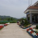 양산면사무소 이미지