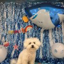 바우스쿨 이미지