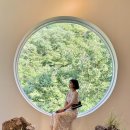 홍이목장 | 양산계곡카페 추천! 부산근교카페 카페딘에서 배내골 숲뷰 힐링