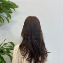 홍스타일 이미지