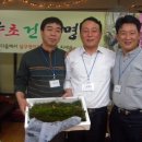 살구정이 이미지