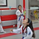 경성태권도 이미지