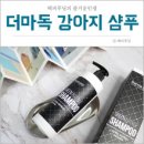 그린애견 이미지