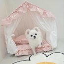 반짝이는 그루밍 하우스 | 2024년 7월 셋째주 : 어떻게든 길은
