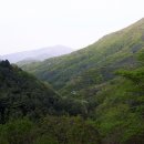 희여울과 꽃나예 이미지