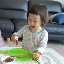 BR스쿨어린이집 이미지