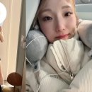 선명이네 이미지