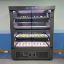 대지초등학교 이미지