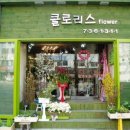 클로리스플라워 이미지