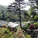 대성암 앞 이미지