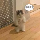 하하인터렉티브 이미지