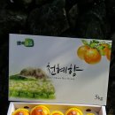청정과일