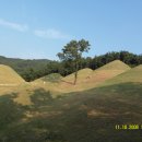 신기리 고분군 이미지