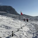 제주조각공원 | [제주] 한라산 영실코스 소요시간, 난이도, 주차, 버스 총정리(실제후기)