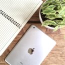 괴산파크골프장 이미지