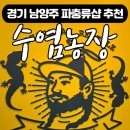 수염농장 | 남양주 파충류샵 아이와 함께 다녀온 수염농장 게코 입양 후기