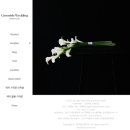 주정차단속-143 이미지