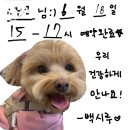 스튜디오우띵크 | [후기] 흰테이블스튜디오에 의한 홍대연남투어