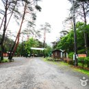 국립검마산자연휴양림 이미지