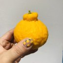 파머스하우스 이미지