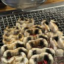 청산민물장어 이미지