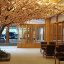 제이비관광호텔 이미지