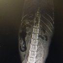 손수의과병원 이미지