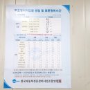 AUTO Q LAND 이미지