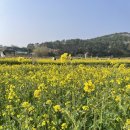 슬도낚시 | 울산 슬도_울산 최애 낚시 포인트 슬도에서의 완벽...볼락&배도라치 줄낚시 후기(feat.닭동가리치킨)