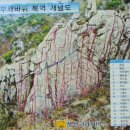 지골 이미지